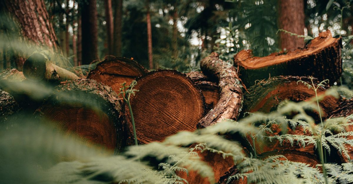 Standard for Change Management Change Log